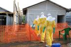 Bộ Y tế: "Virus Ebola có thể xâm nhập vào Việt Nam"